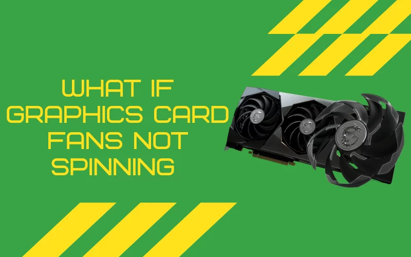 What If Graphics Card Fans Not Spinning