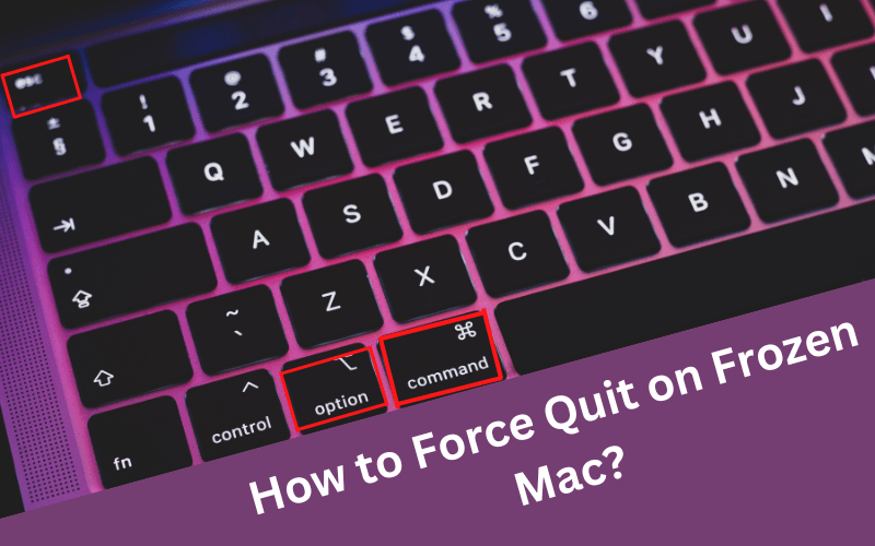 How to Force Quit on Frozen Mac?