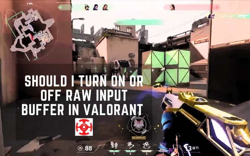 Should-I-Turn-On-or-Off-Raw-Input-Buffer-in-Valorant-